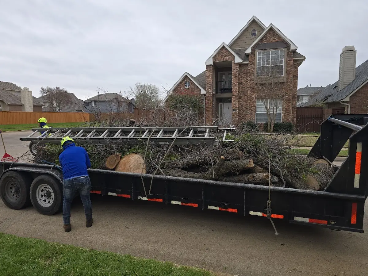 Expert Tree Pest Control with proper safety equipment in Cropwell